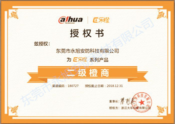 大華樂(lè)橙監(jiān)控產(chǎn)品二級(jí)橙商